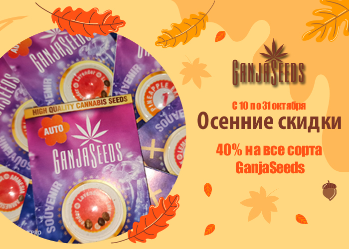 Октябрьский обвал цен с 40% скидкой от GanjaSeeds