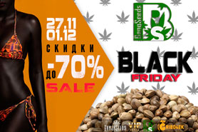 BangSeeds Black Friday – распродажа стартовала!